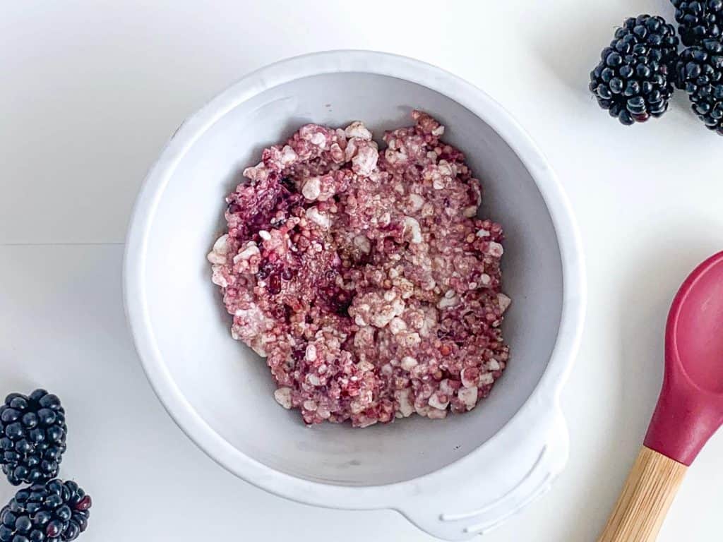 7 month old recipe Cottage Cheese Blackberry Millet